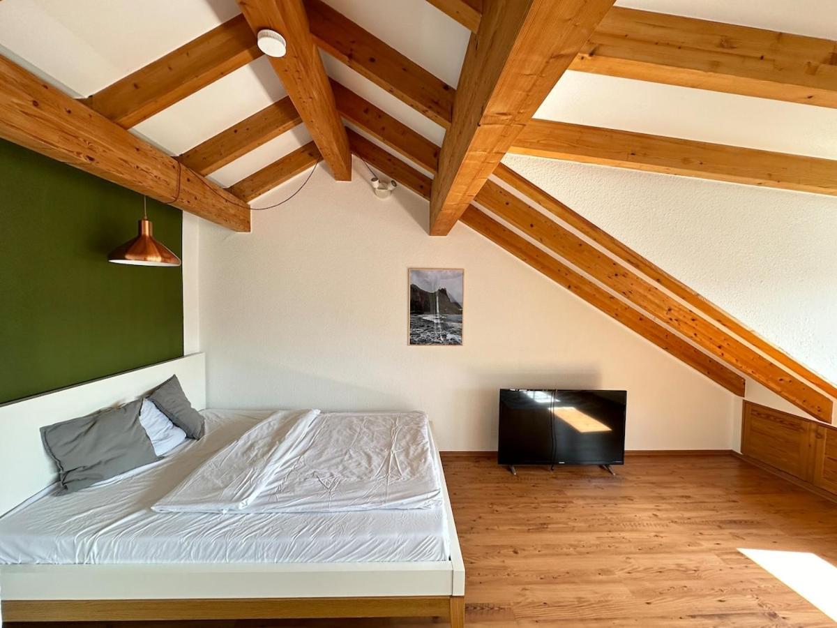 Apartment Cozy Loft With A View, Central, Close To Tradefair Düsseldorf