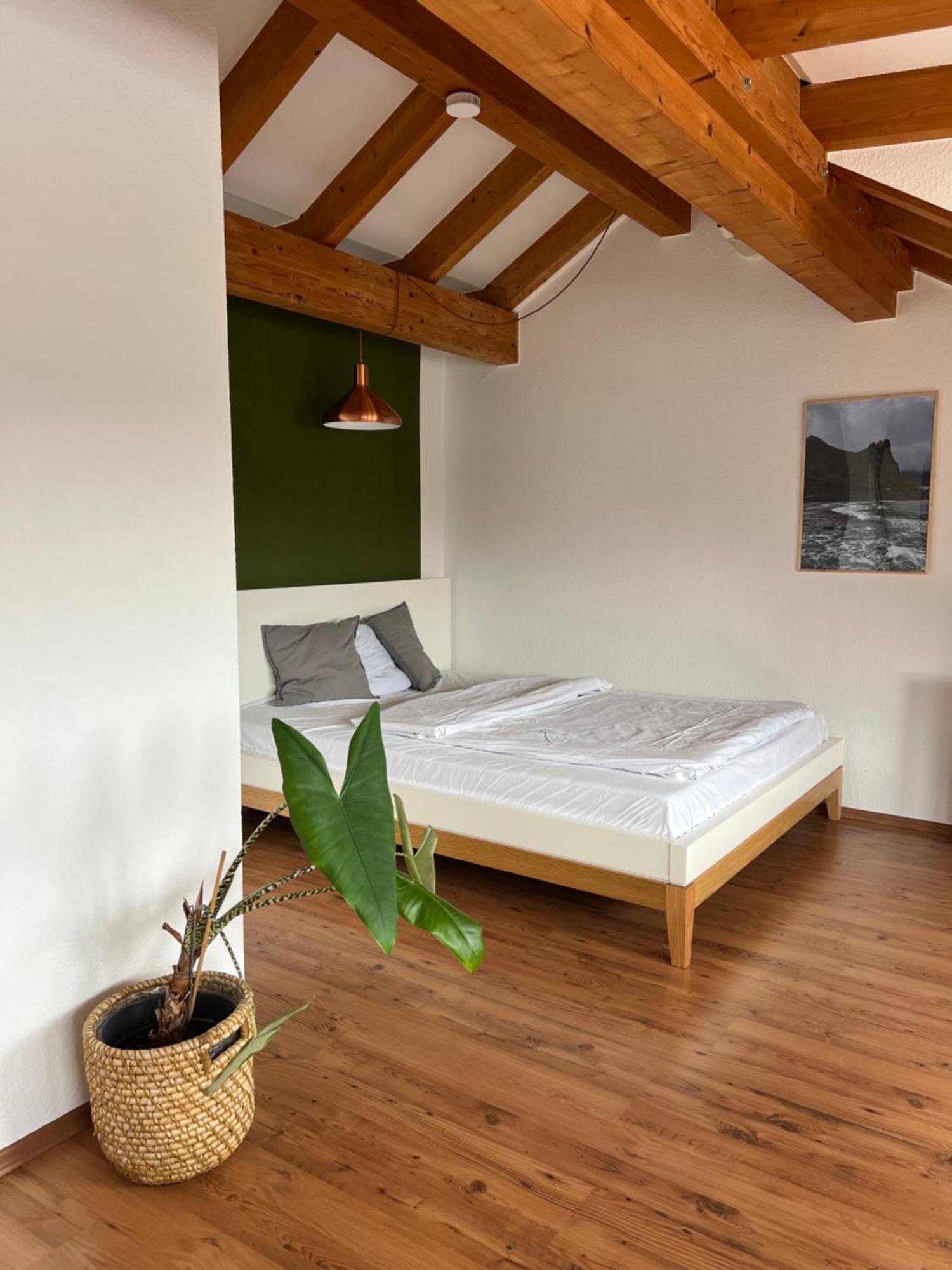 Apartment Cozy Loft With A View, Central, Close To Tradefair