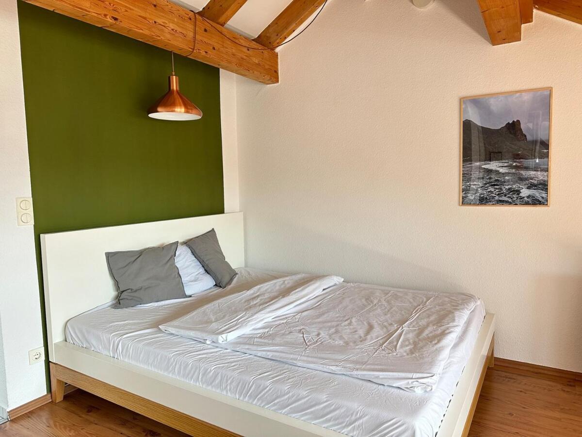 Apartment Cozy Loft With A View, Central, Close To Tradefair