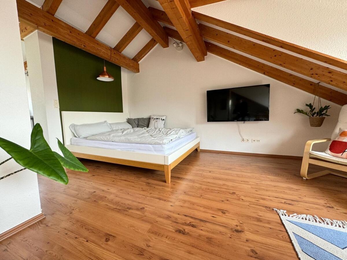 Apartment Cozy Loft With A View, Central, Close To Tradefair *